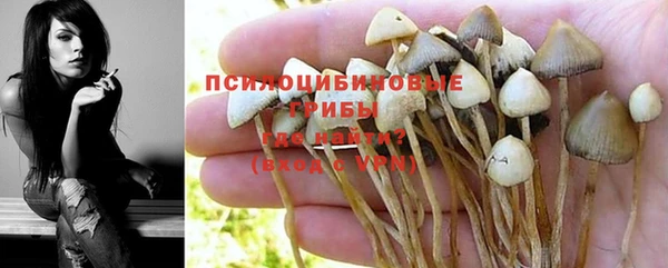 эйфоретик Абинск