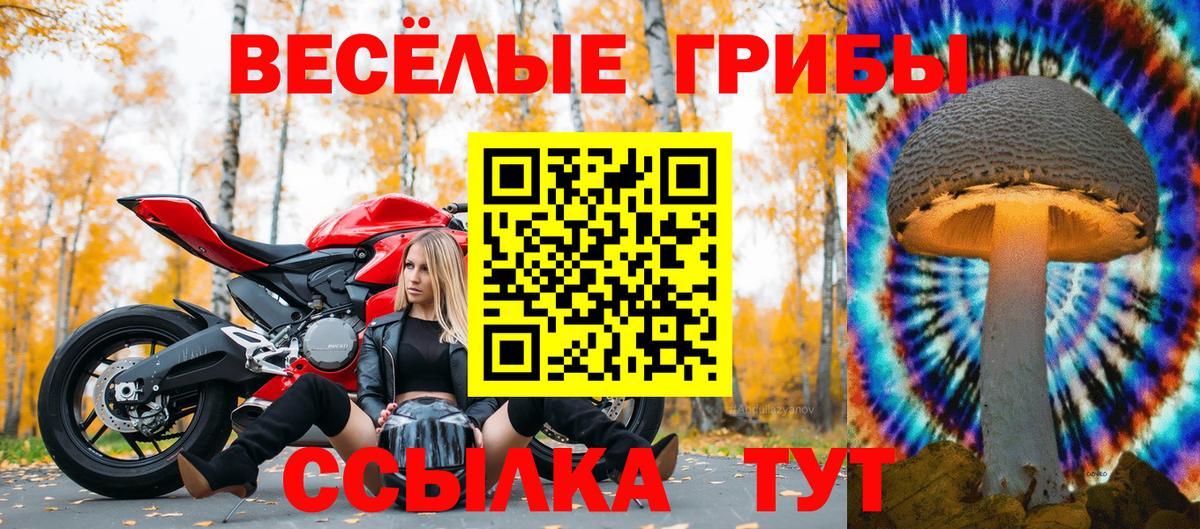 продажа наркотиков  Вход с VPN  Воронеж  Галлюциногенные грибы MAGIC MUSHROOMS 