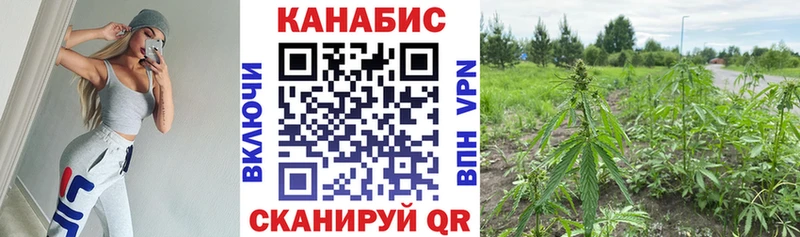 Марихуана Ganja  цена   Воронеж 
